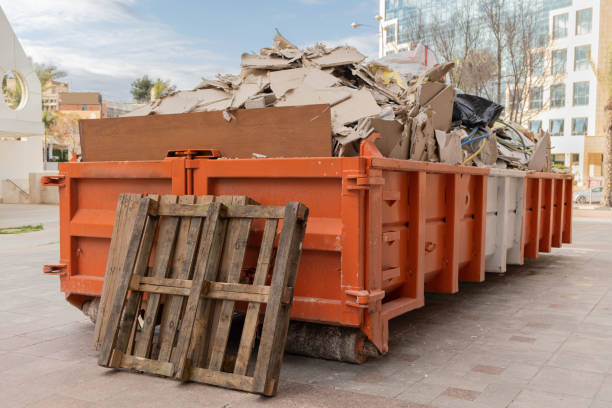 Yard Cleanup Services in Sunny Isles Beach, FL